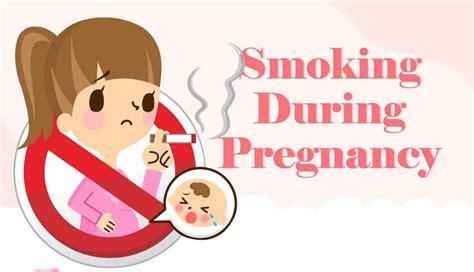 Smoking During Pregnancy Infographic