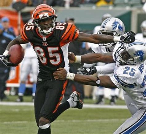 Nfl Being Too Hard On Bengals Chad Ochocinco For Harmless