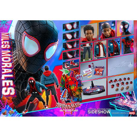 Preventa Hot Toys 16 Scale Miles Morales Spider Man Into The