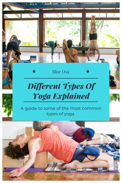 Different Types Of Yoga Explained Blue Osa Yoga Retreat Spa