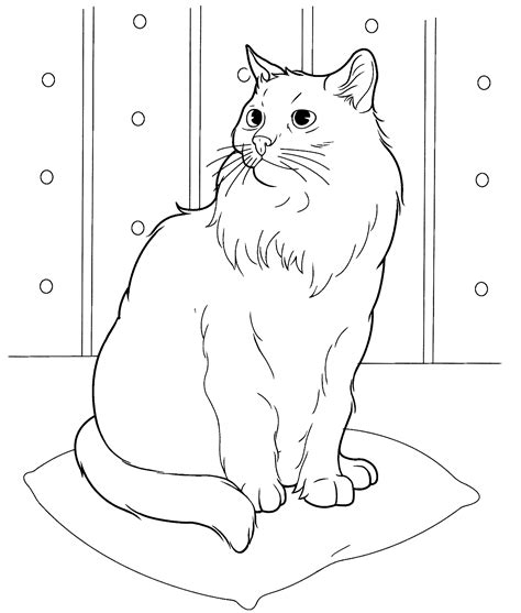 Online cat coloring pages for kids. Cat Coloring Pages for Adults - Best Coloring Pages For Kids