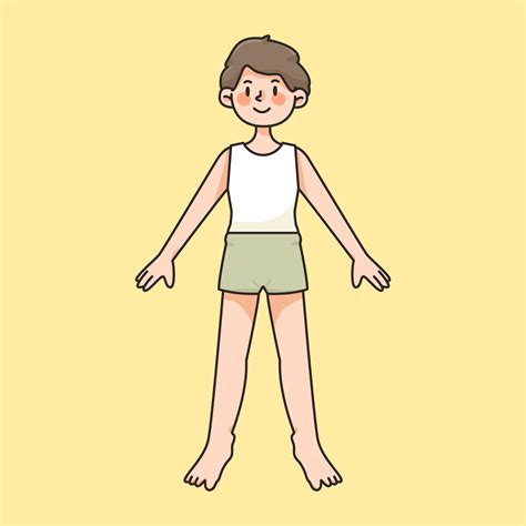 Boy Body Anatomy Drawing Cute Cartoon Illustration Vector Art At Vecteezy