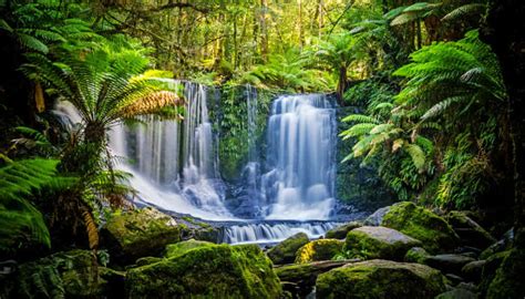 14 Waterfalls In Australia For A Date With Nature