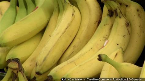 Iowa Researches To Pay Students To Eat Gmo Bananas Ktvo