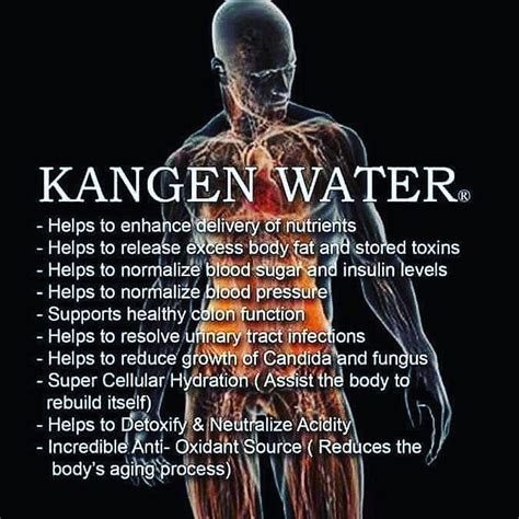 10 Reasons Why You Should Drink Kangen Water Antioxidants Antiaging Hydrogenizedalkalinewater