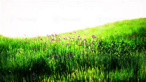 Grassland Logo Stock Photos Images And Backgrounds For Free Download
