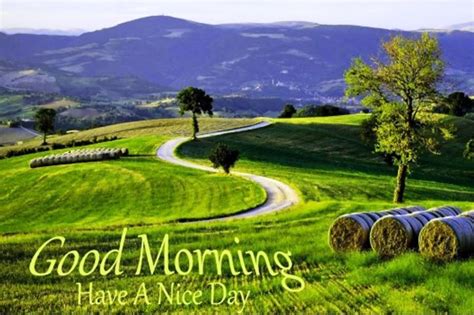 There are many relationships in our society but among all relationship the most important and lovely. Cool good morning images with nature | Good morning images ...