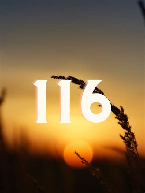 116 Angel Number Meaning And Symbolism In Love