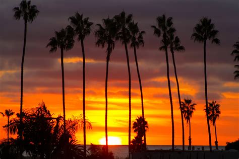 Palm Trees At Sunset Southern California Ocean Beach High Etsy