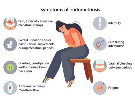 Endometriosis Symptoms Infographic Detailed Vector Infographic Women