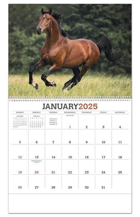 Quarter Horse Calendar 2024 Ashli Lilith
