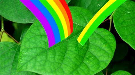 Plant Pigments And Its Coloration Explained Britannica