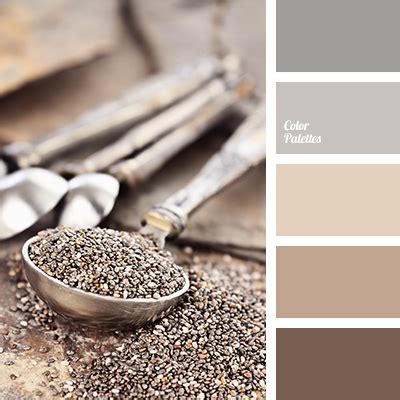 If you are looking for colour schemes with particular color codes, simply enter those. taupe | Page 2 of 5 | Color Palette Ideas