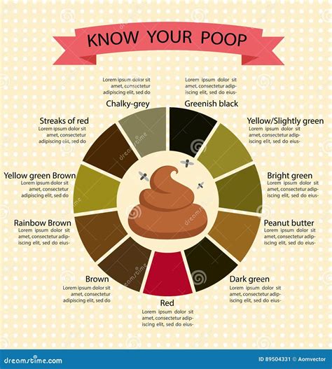 What Do The Colors Of Dog Poop Mean The Meaning Of Color
