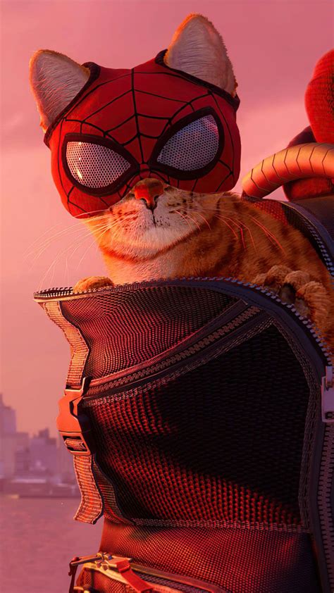 Wallpaper Hd Spider Cat Spider Man Miles Morales 2021 Game Hd Wallpaper