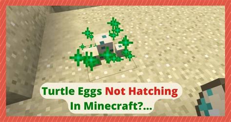 How Long Does It Take For Turtle Eggs To Hatch In Minecraft And Why