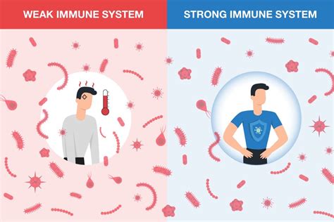 Sleep And Immune System How Are They Connected Puffy Blog