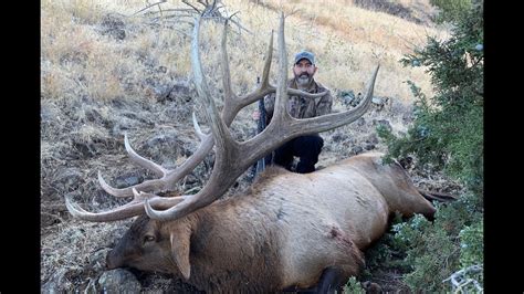 Public Land Giant Bull Elk Idaho Highlights Incredible Elk Footage