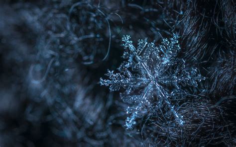 Download Wallpaper 1920x1200 Snowflake Macro Photography Ice Hd Background