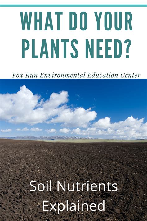 What Do Your Plants Need Soil Nutrients Explained Fox Run