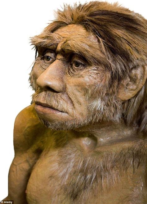 Neanderthal Man Had Larger Eyes But Did Not Develop His Brain Power