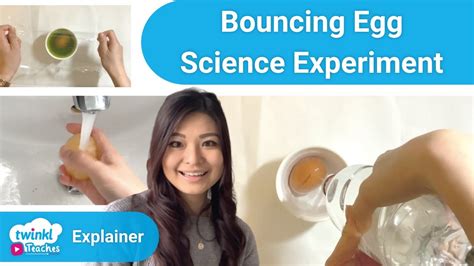 Bouncing Egg Science Experiment Youtube