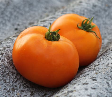 Amana Orange Heirloom Tomato Seeds Op Non Gmo Seeds