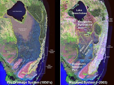 Everglades Historic Map Jacqui Thurlow Lippisch