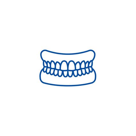 Partial Upper Dentures Stock Photos Pictures And Royalty Free Images