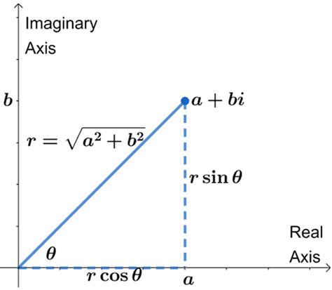 Trigonometric Form Definition Example And Explanation 2023