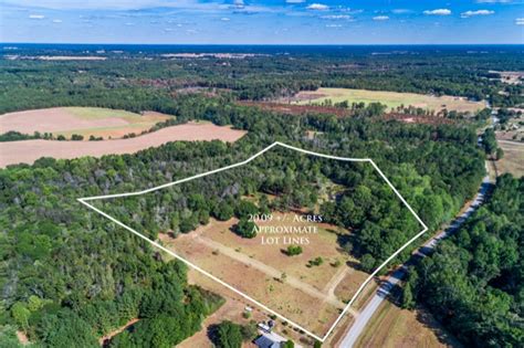For optimal growth on saplings and smaller trees, plant in full sun. Georgia Farms & Land For Sale or Lease - 20+ Acres with ...