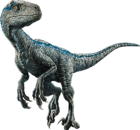 Download Velociraptor Jurassic World El Reino Caído Dinosaurios