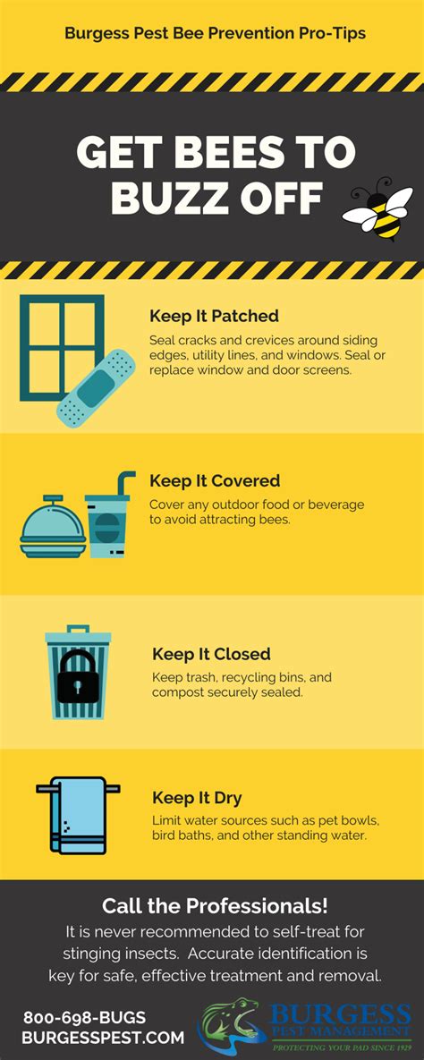 Buzz Off Bee Prevention Tips Infographic