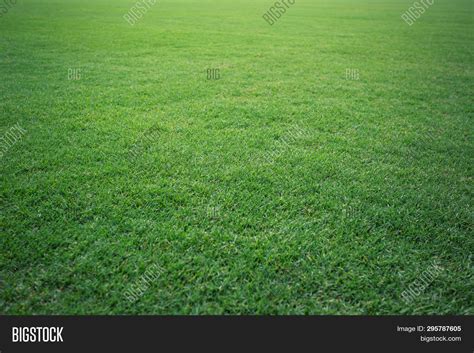 Green Grass Soccer Image And Photo Free Trial Bigstock