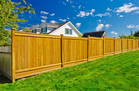 Privacy Fence Ideas And Designs For Your Backyard