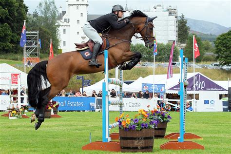 How You Can Take Show Jumping Classes Into Show Business Rm Show Jumping