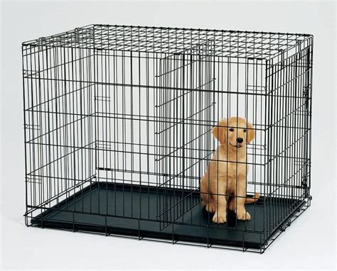 Choosing The Best Dog Crate Size Dimensions And Measurements Guide
