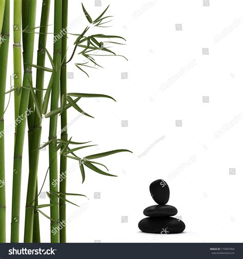 Green Bamboo With Black Stones Stock Photo 170407904 Shutterstock