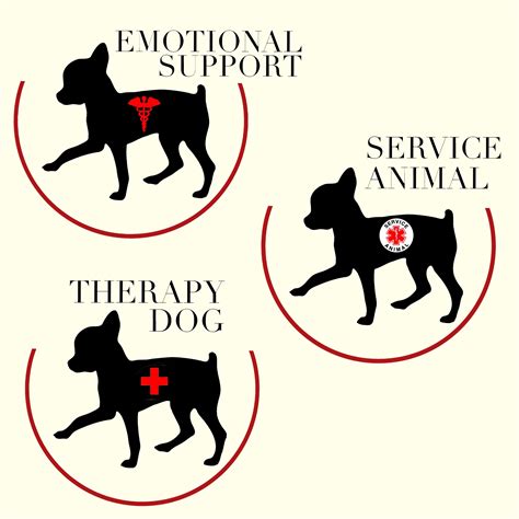 Service Dogs Emotional Support Animals Therapy Dogswhats The