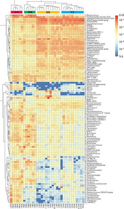 Heatmap Of The Relative Abundance Of The Major Bacterial Genera Download Scientific Diagram