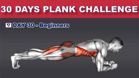 Day 30 30 Days Plank Challenge Beginners Youtube