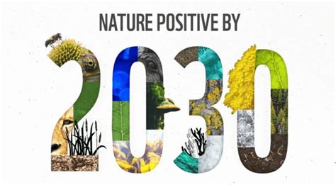 Business For Nature Joins Environmental Groups Urging Un Biodiversity