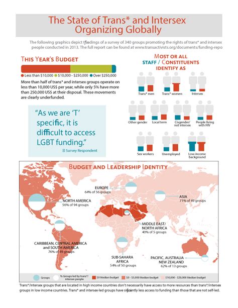 Infosheet The State Of Trans And Intersex Organizing Globally