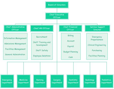 Example Of Hospital Organizational Chart