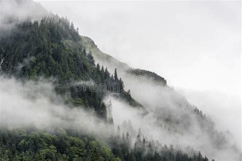 Fog Covering The Mountain Forests With Low Cloud In Juneau Alaska For