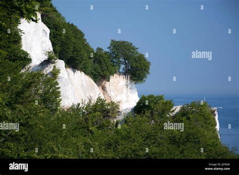 Mons Klint Is The Highest Steilkste Of Denmark The Chalk Cliff Lies