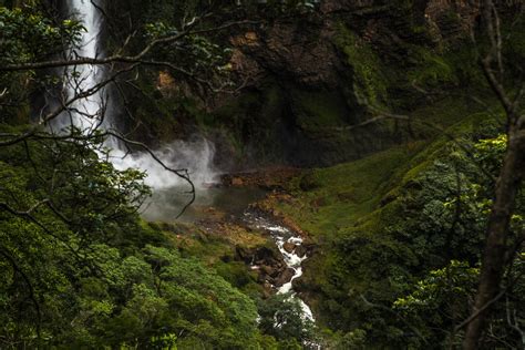 1920x1080 Wallpaper Waterfall Surrounded By Green Leaf Trees At