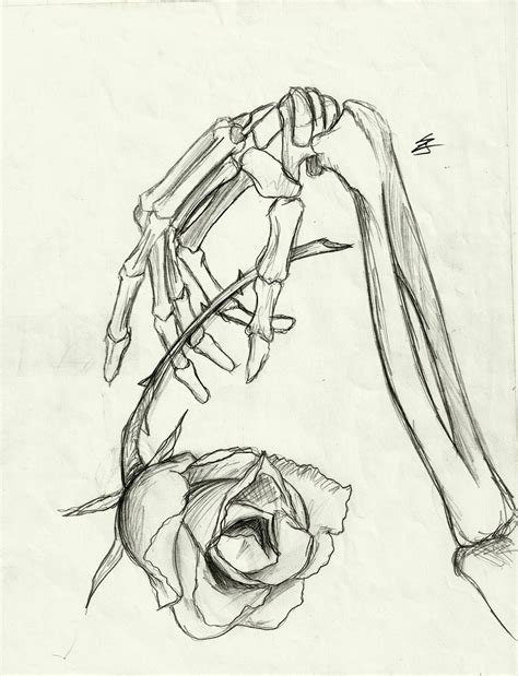 Skeleton Hand Holding Rose Drawing At Explore