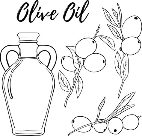 Premium Vector Olive Set Hand Drawn Vector Illustration Olive Oil Use