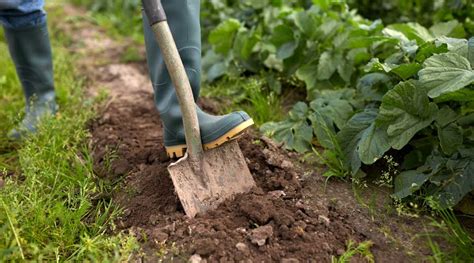 The Perfect Time To Dig Your Garden And Why Simplify Gardening